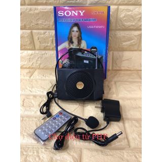 Loa trợ giảng SONY SN 898