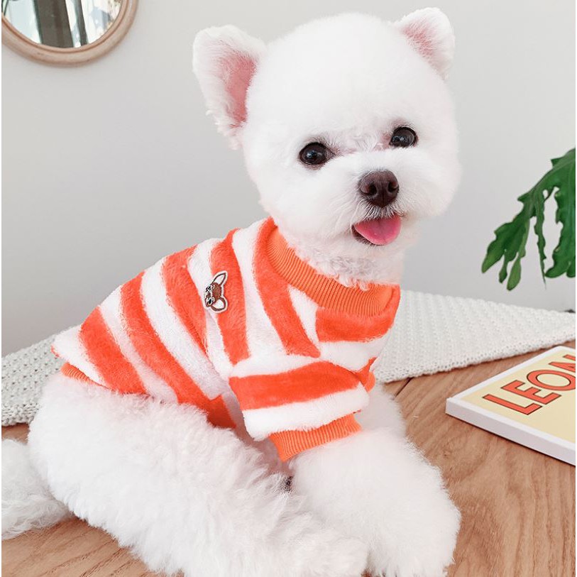 Áo Thu Đông Sọc Phối Màu Cute Dành Cho Chó Cưng