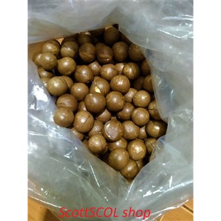 Macca nứt vỏ hút chân không 500gram