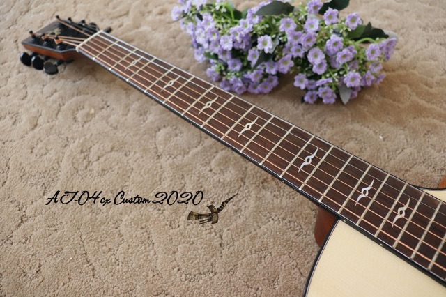 Thuận Guitar AT-04CX Custom