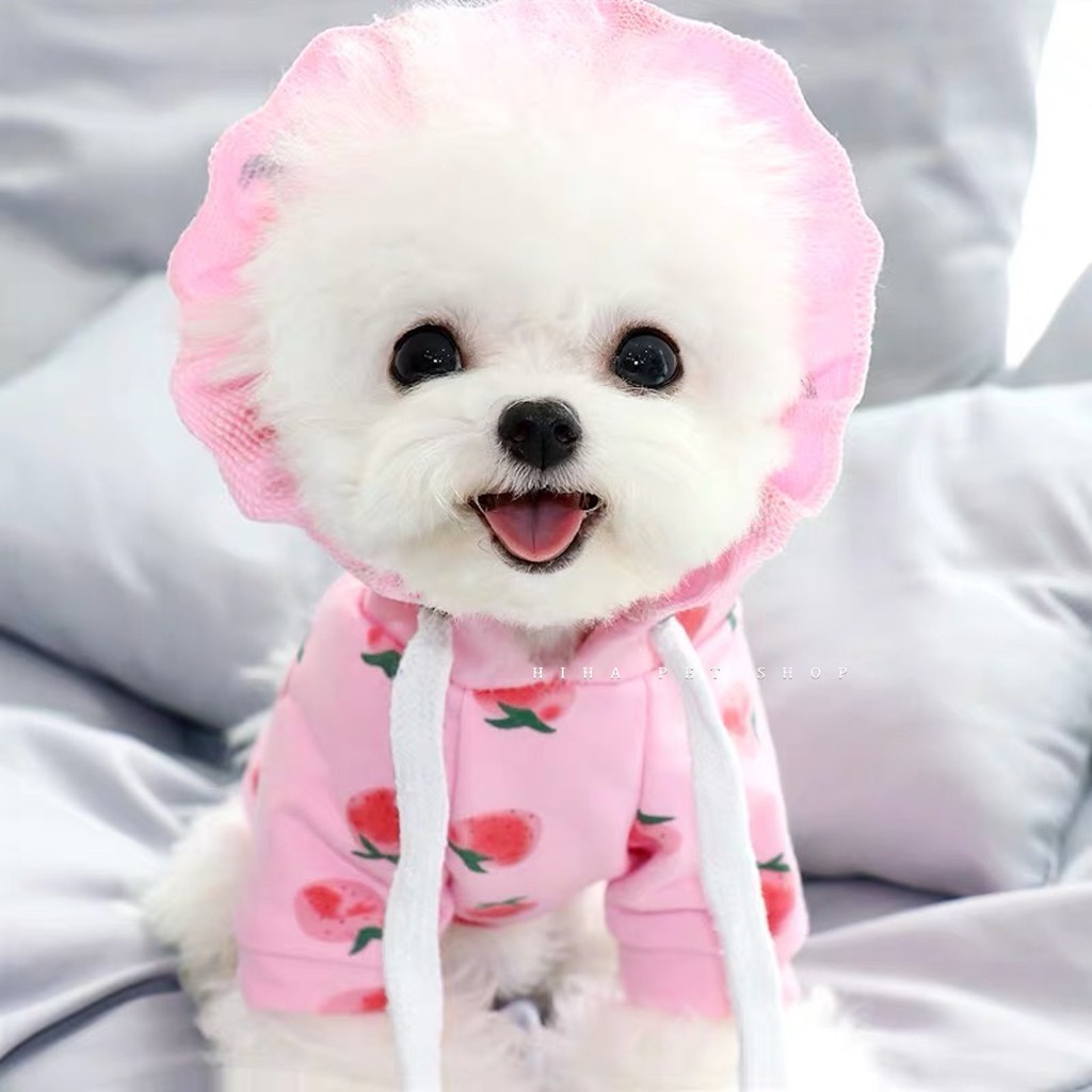 Áo Hoodie Len Thun Ấm Có Nón Chó Mèo Hoạ Tiết Trái Đào Cute Hihapet Mặc Ấm Áp.