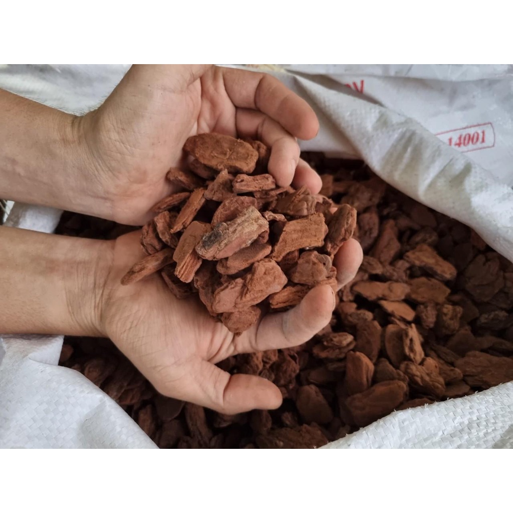 1 bao vỏ thông đủ các size trồng hoa lan cây cảnh gói 1 kg