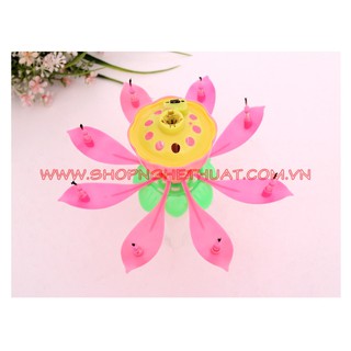 Nến sinh nhật nở hoa phát nhạc