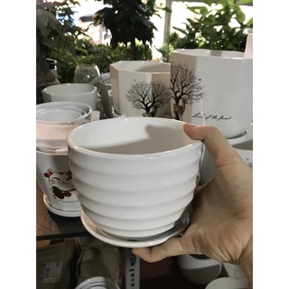 chậu sứ trắng có đĩa