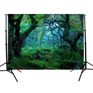 Backdrop Cho Studio Loại Cây Gỗ Rừng Rơi 5X3Ft