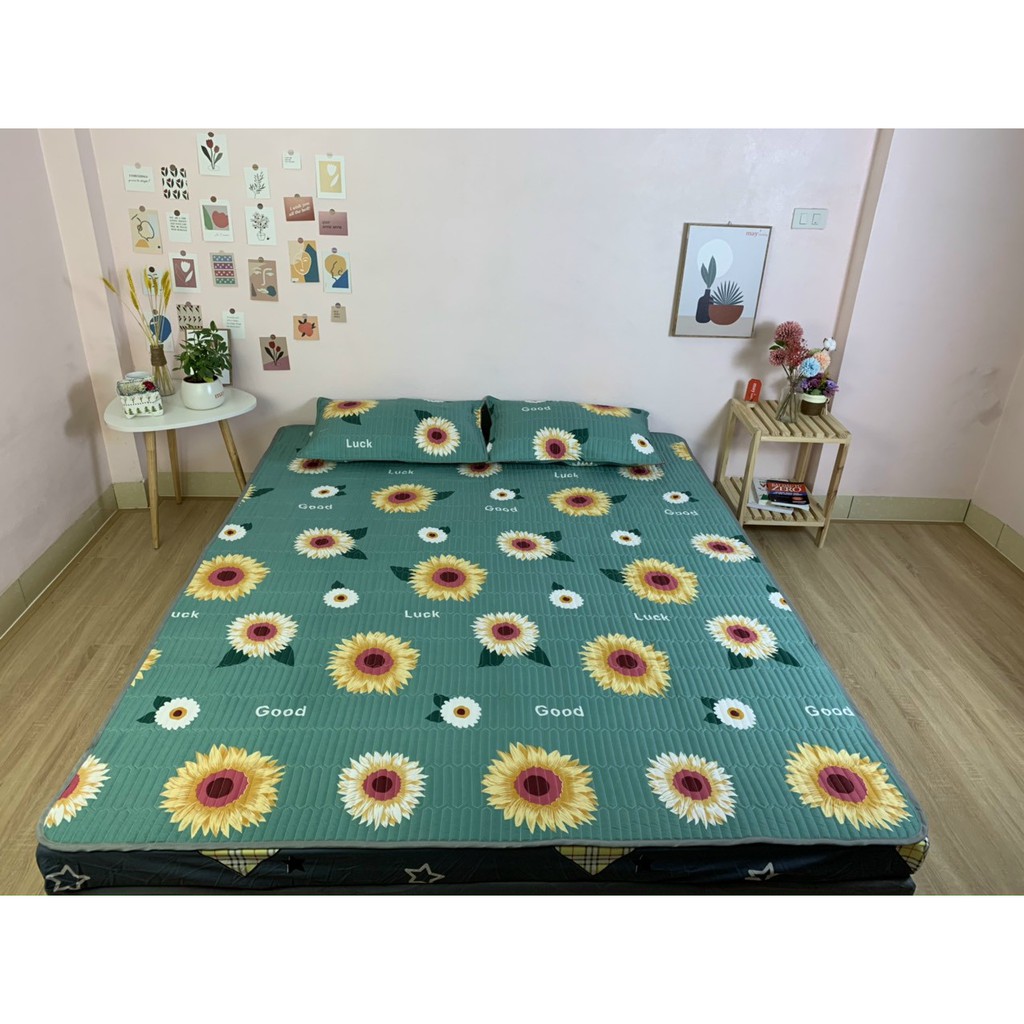 [SIÊU SALE] Chiếu Đũi điều hòa Chất liệu cotton đũi mát mẻ có đủ màu sắc full size