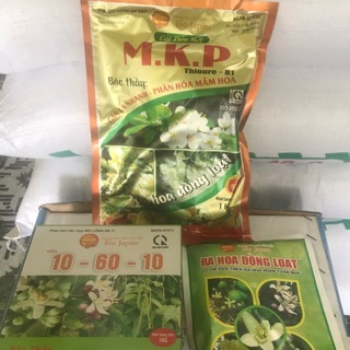 Bộ 3 làm bông ( MKP 10-60-10 ra hoa đồng loạt)