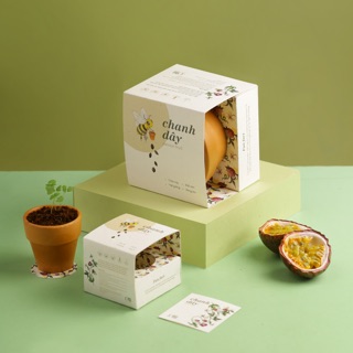 Kit trồng cây mini - chanh dây | plant kit - passion fruit