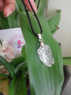 NGỌC THIỀN (Ve Sầu)