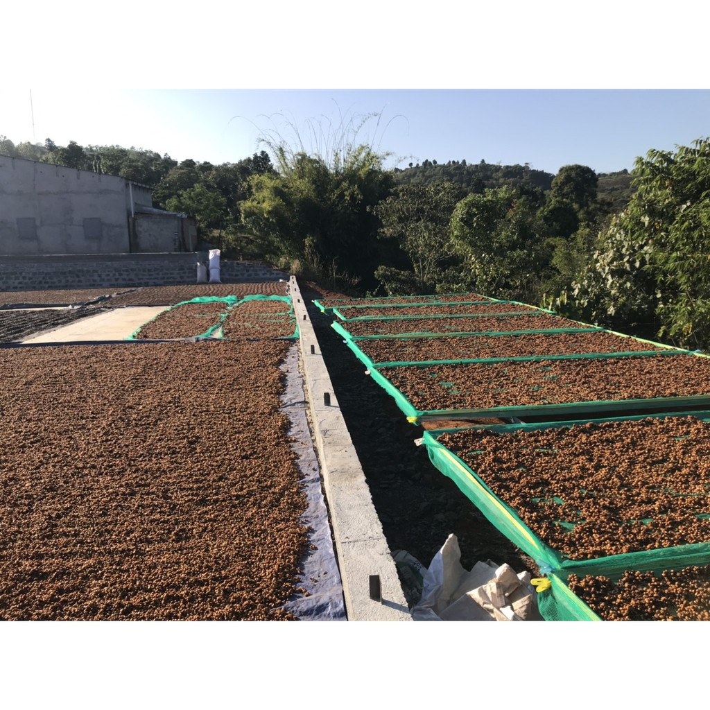 Cà phê nguyên chất rang mộc classic 500g enjoy coffee- sạch từ nông trại | BigBuy360 - bigbuy360.vn