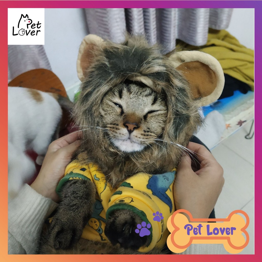 [FREESHIP] Quần áo cho mèo, áo cho mèo có tay, màu sắc tươi tắn, chất nỉ lỳ đẹp và rất ấm áp cho Boss