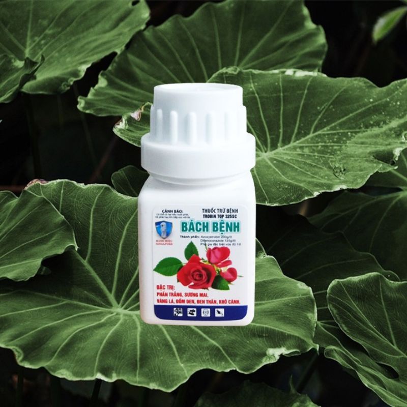 Thuốc trừ bệnh hoa hồng ,đặc trị phấn trắng, sương mai, vàng lá, đốm đen, đen thân, khô cành TROBIN TOP