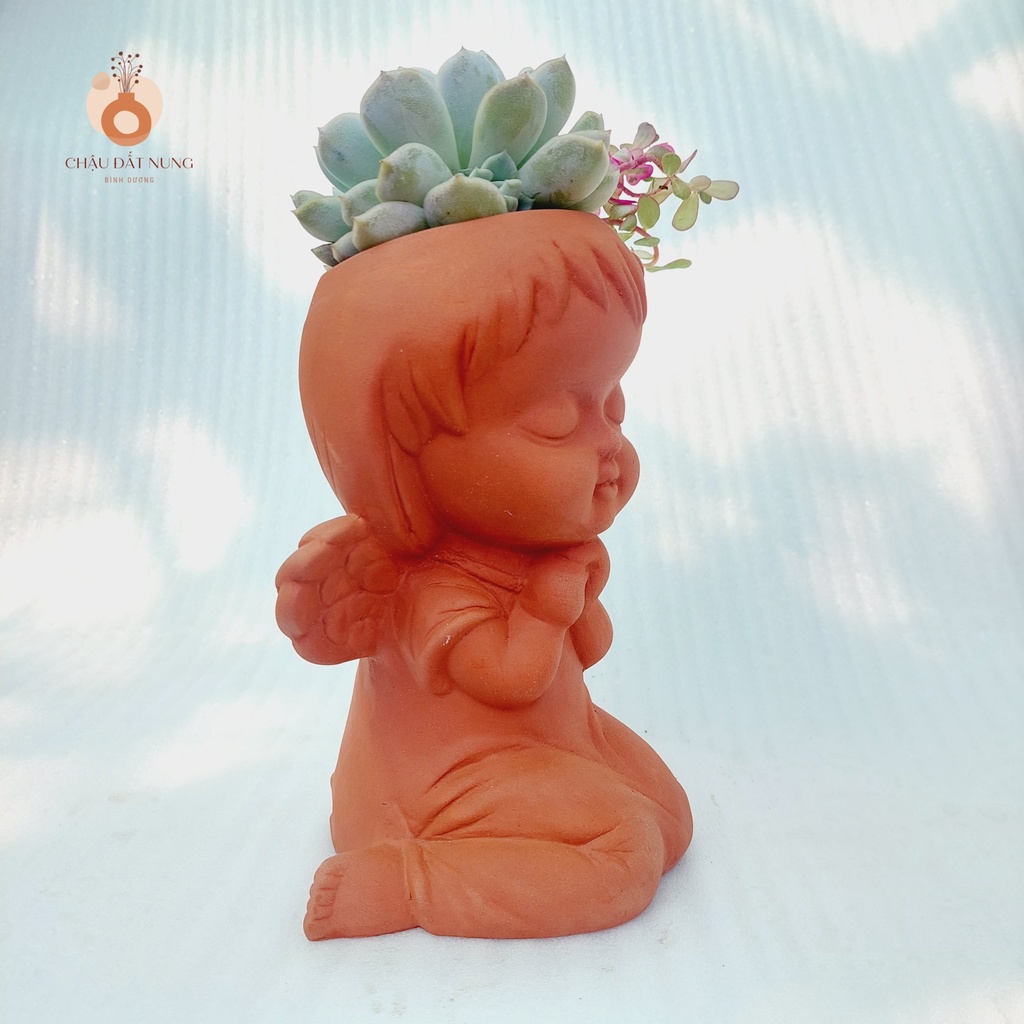 Chậu đất nung, Chậu sen đá - Cô gái Marshal - miệng chậu 8cm, chiều cao 20cm