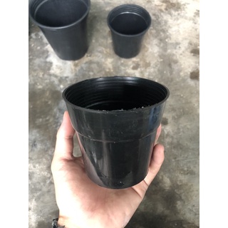 Chậu trồng kiểng lá