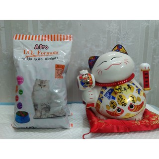 Thức ăn hạt APro IQ Formula 500g cho Mèo