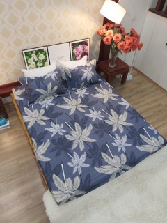 Bộ ga chun cotton Hàn Quốc 1,6*2m