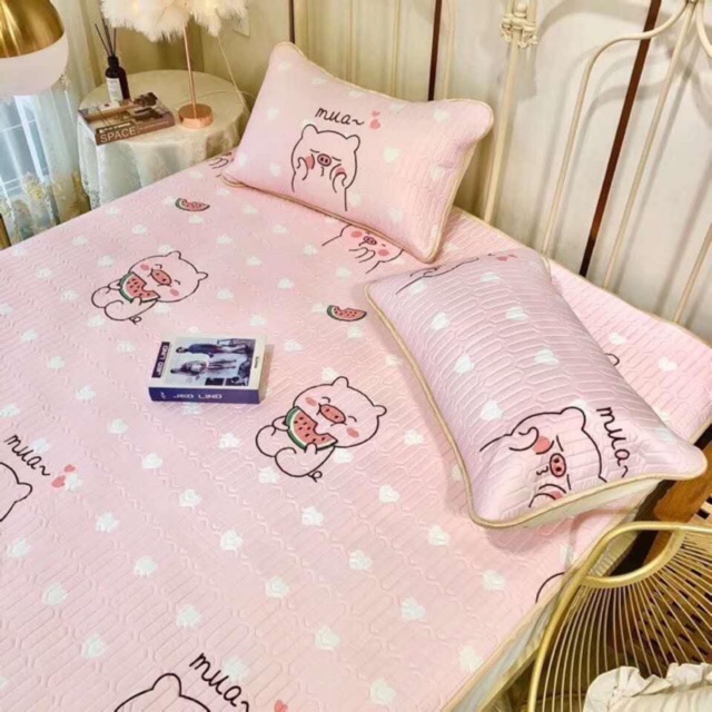 Chiếu điều hòa tencel loại 1 (1 chiếu + 2 vỏ gối)