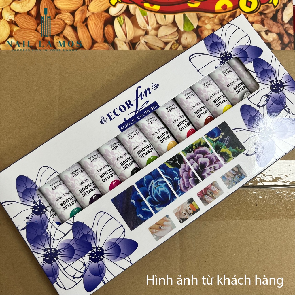 Set bột vẽ cọ bản Ecor Fin chính hãng 12 màu chuyên dụng