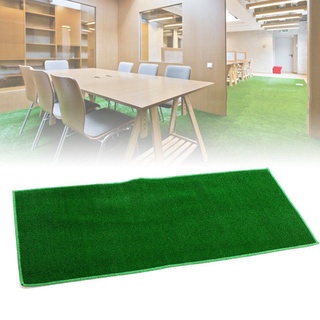 Thảm cỏ nhân tạo cao cấp carmi 60x40cm,120x50cm