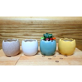 [7cm*7cm] Chậu trồng cây cảnh - Sen Đá - Xương Rồng - Hoa nhỏ - Kiểu vành TRÒN MIỆNG TRỨNG - MS105 gốm Sứ Bát Tràng.