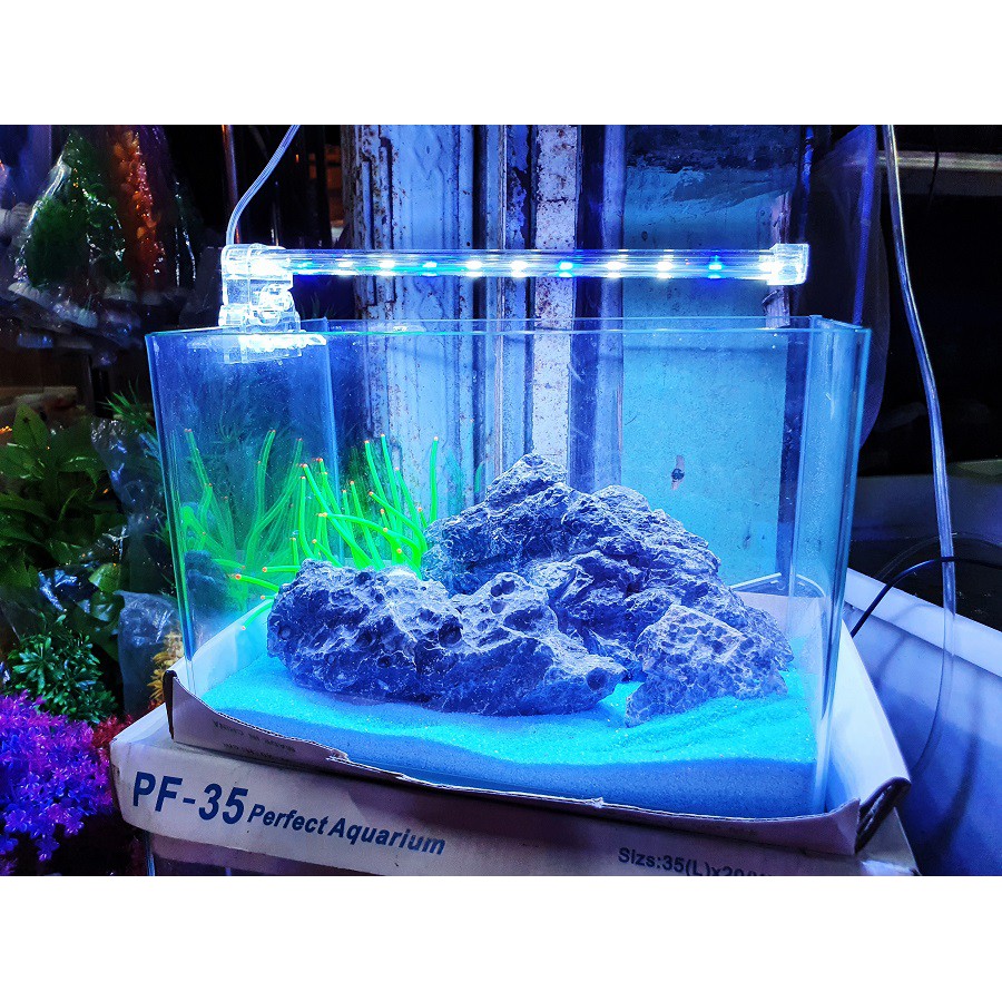 ĐÈN LED KẸP 1 BÊN HỒ CÁ XILONG D10 ĐẾN D30