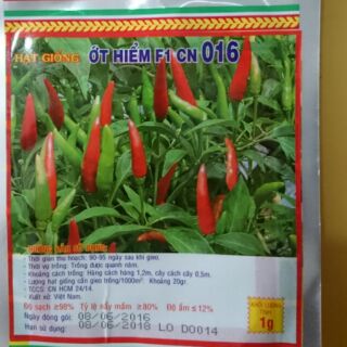 Hạt giống ớt hiểm
