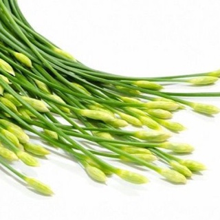 Hạt giống hẹ, Bông hẹ dễ trồng dễ chăm Gói 1gram ) - Hạt giống rau củ quả