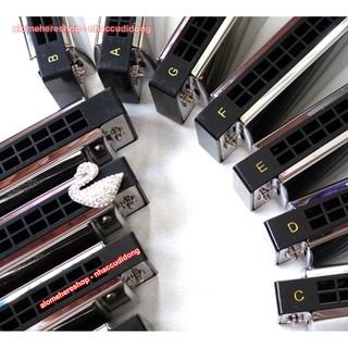 Kèn Harmonica Tremolo Swan Inconceivable SW24 12 Key C/C#/D/D#/E/F/F#/G/G#/A/A#/B (Đen)