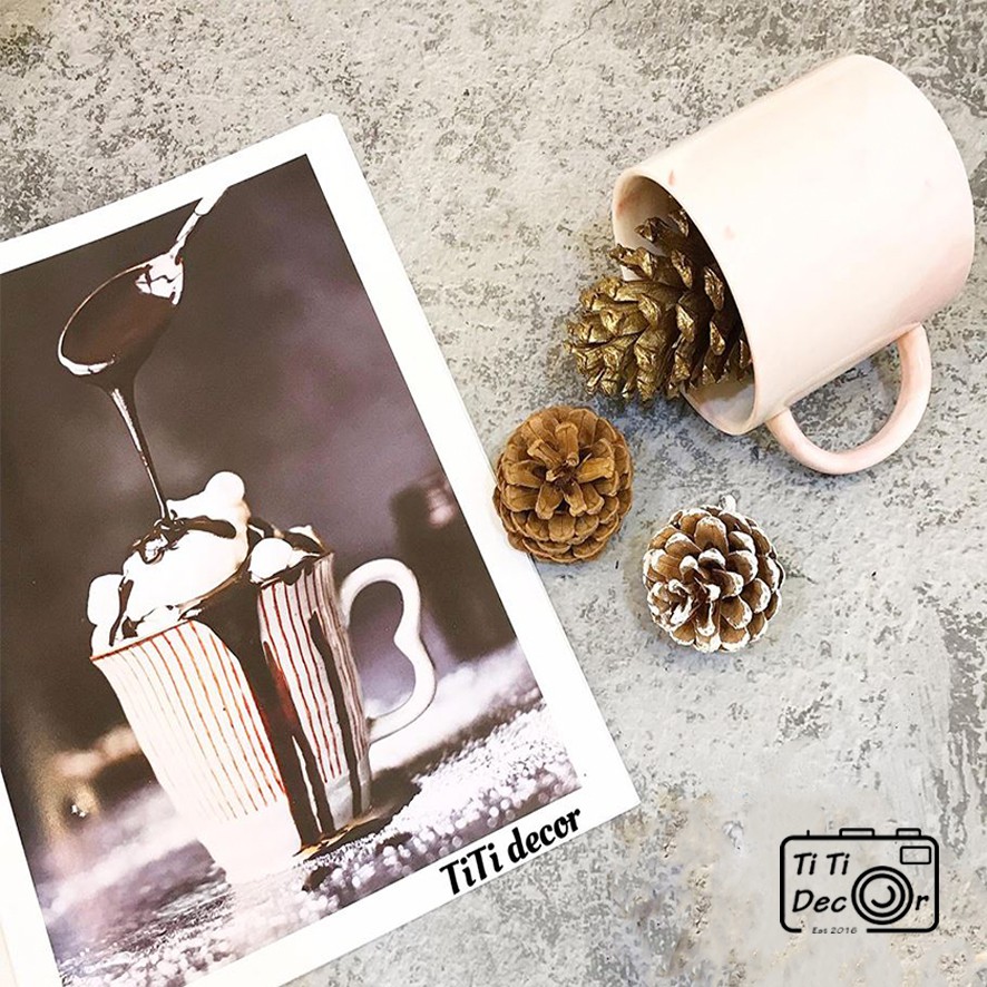 Set quả thông trang trí chụp ảnh, decor nhà cửa, cửa hàng - TiTi Decor