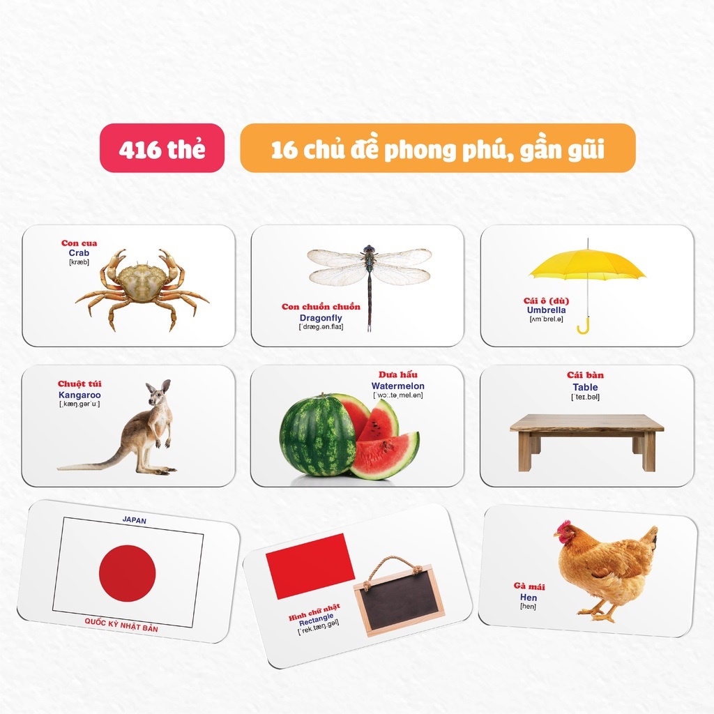 Flashcard Cho Bé - Bộ Thẻ Học Thông Minh Glenn Doman 16 Chủ Đề 416 Thẻ Thế Giới Xung Quanh - Giáo Dục Sớm Cho Bé