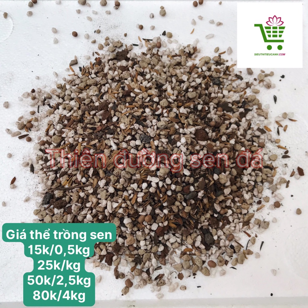 GIÁ THỂ - ĐẤT TRỒNG SEN ĐÁ - XƯƠNG RỒNG SIÊU DINH DƯỠNG, TRỘN SẴN