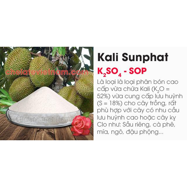 Túi 500 gam phân bón Kali Sunfat K2SO4 hàng Hàn Quốc (Kali trắng) chuyên dùng nuôi trái.
