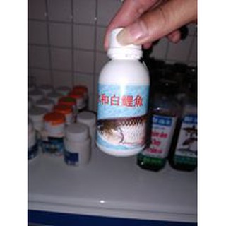 Mồi câu trắm trắng, chép siêu nhậy