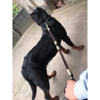 Dây dắt chó bằng da 3 khúc chi tiết đồng