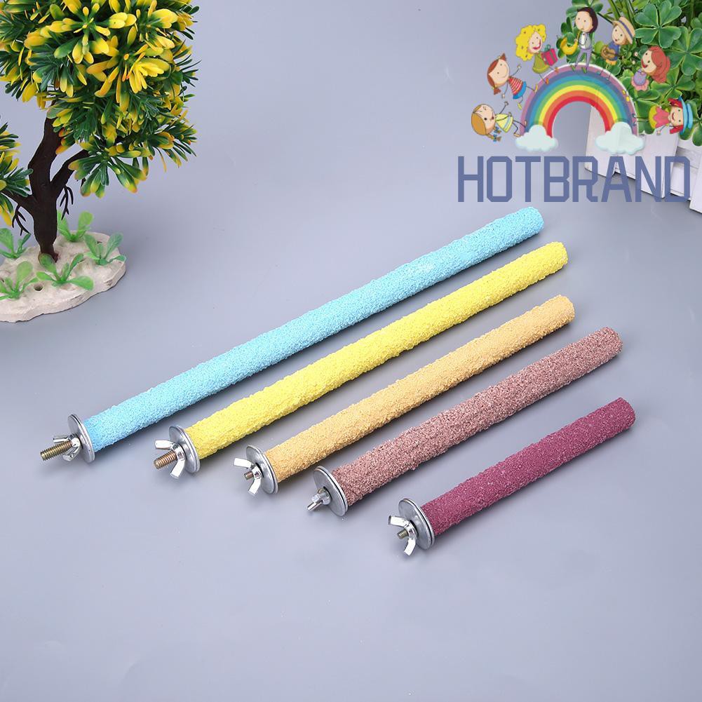 Giá đứng cho chim cảnh/vẹt nhiều màu sắc tùy chọn