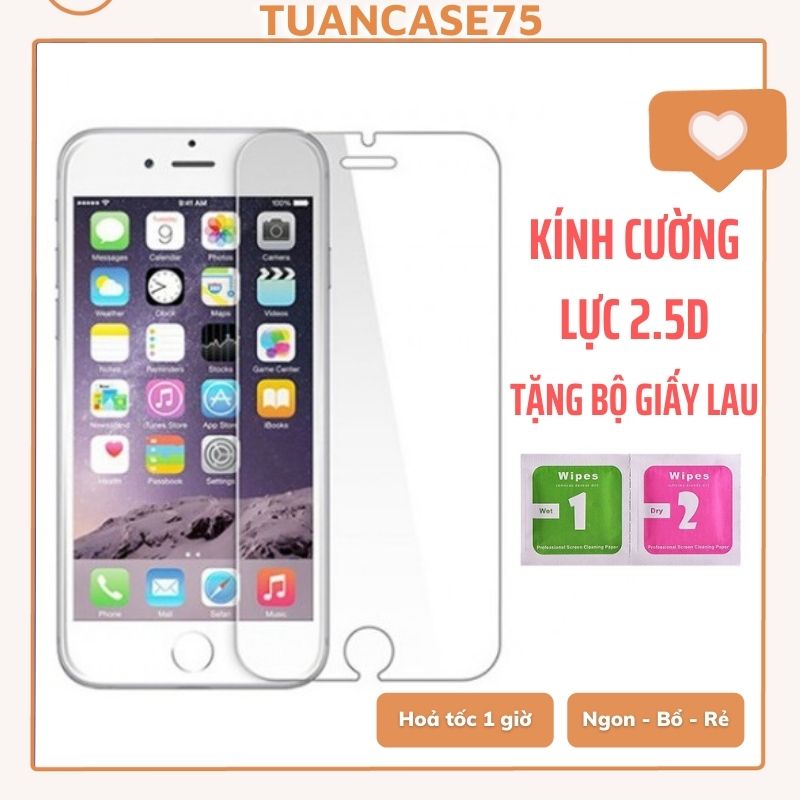 Kính Cường Lực lPH0NE⚡Kính Cường Lực lPH0NE  2.5D ⚡lPH0NE6/6S/6P/6SP/7/8/7P/8P/X/Xs/11Pro/11PM-Tuancase75