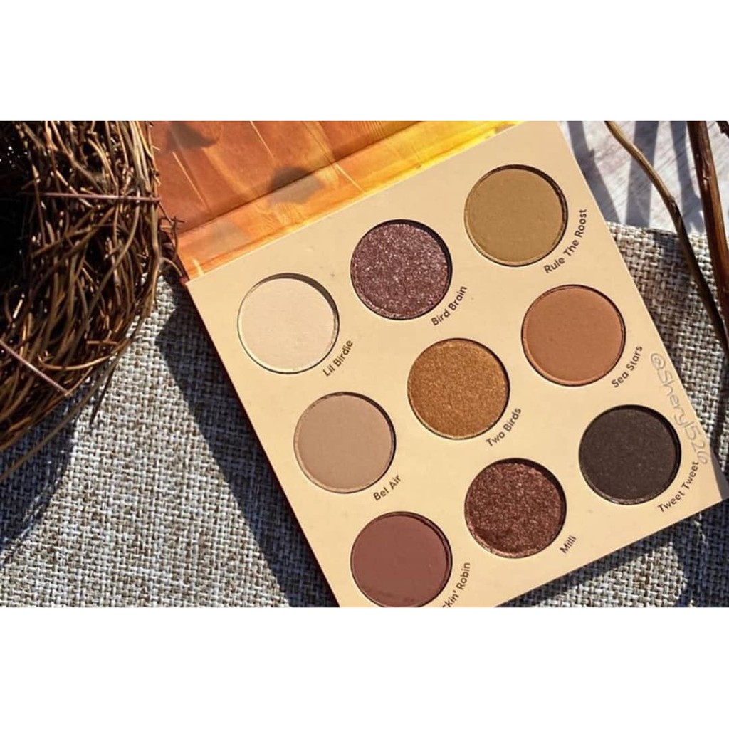 Phấn mắt Colourpop Night Owl tone.