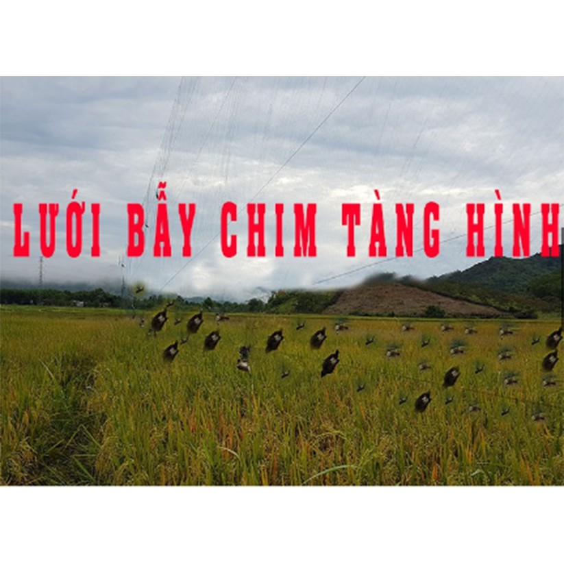 60m Lưới Bẫy Chim Ri, Sắc Ô, Khuyên Mắt 3 Phân Cao 5m 5 Dây 4 Túi, Lưới Tàng Hình Mua Về Chỉ Việc Sử Dụng