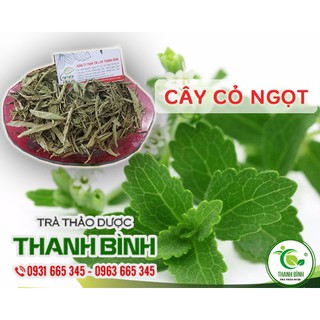 Cây Cỏ Ngọt 1kg