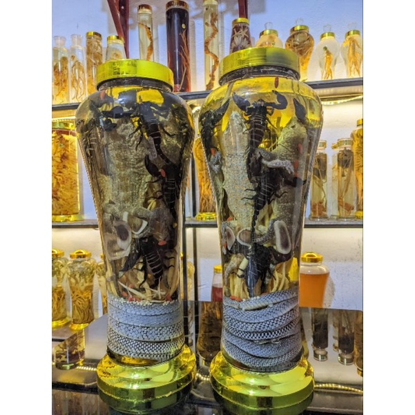 1bình r 7lit như ảnh