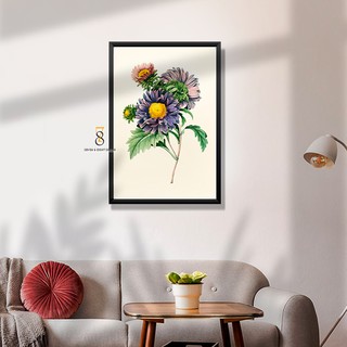 Tranh Canvas | Hoa Cúc Aster Phong Cách Vintage 1FVFLO015 | Tranh Căng Khung Cao Cấp | Tặng Kèm Đinh Đa Năng