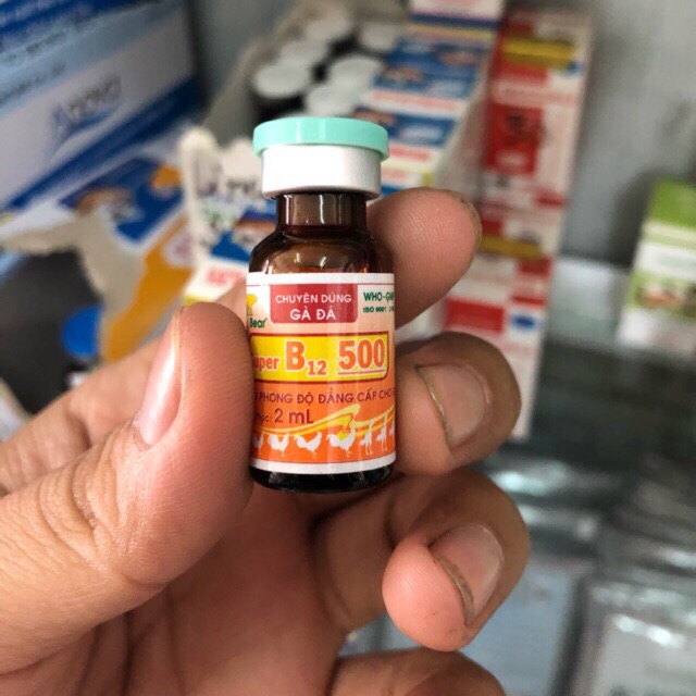 DINH DƯỠNG CHO GÀ ĐÁ SUPER B12 500