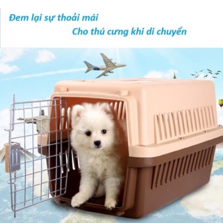 Lồng Vận Chuyển Hàng Không Cho Chó Mèo🐶🐱