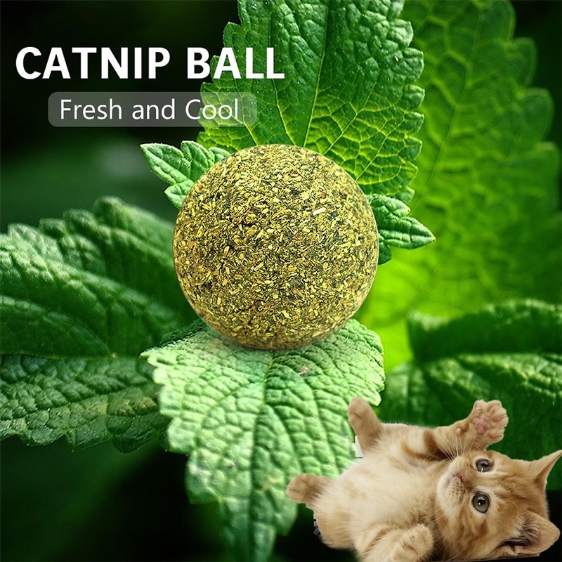 Viên Bóng Cỏ Mèo Catnip Ball Đồ Chơi Dán Tường Giúp Mèo Giải Trí - Xiuxiu Giang