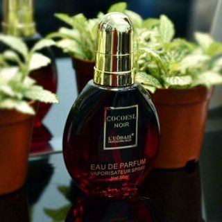 Tinh dầu nước hoa dưỡng tóc cocoesl noir