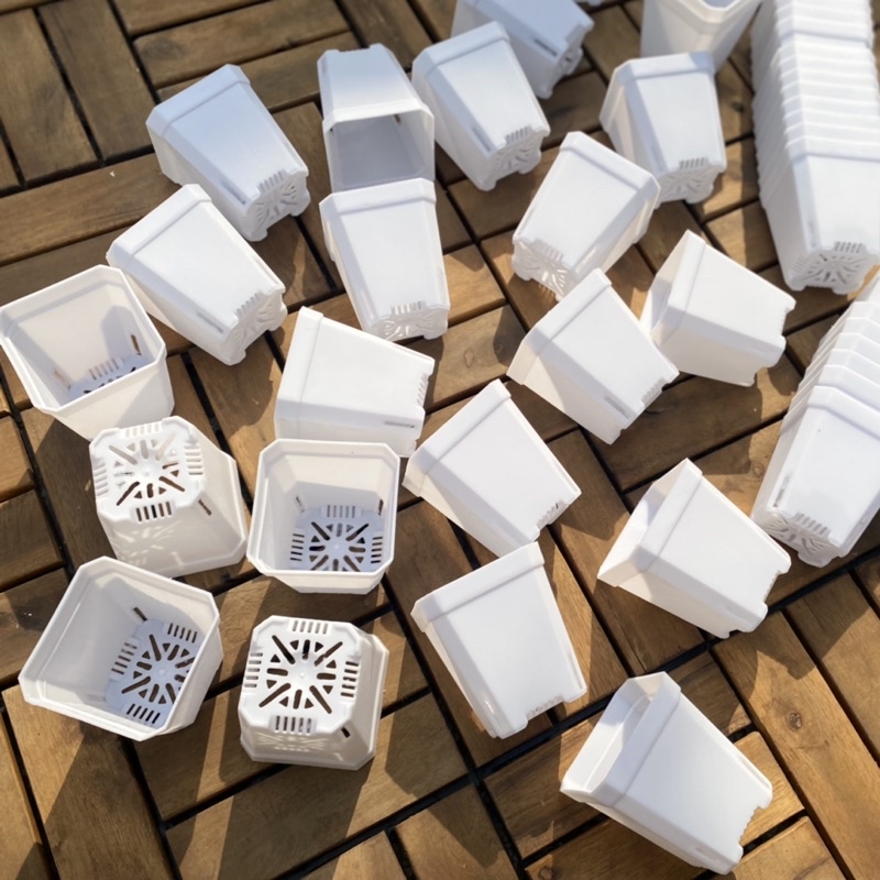 Chậu nhựa vuông 7x8cm