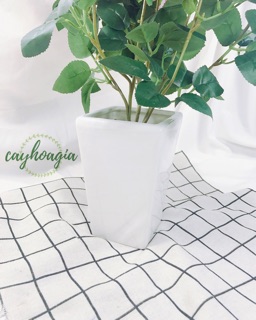 Bình vuông cắm hoa gốm sứ trắng ( không kèm hoa)
