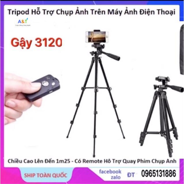 GẬY TRIPOD 3120 LOẠI XỊN HÀNG- CHÍNH HÃNG-FREESHIP