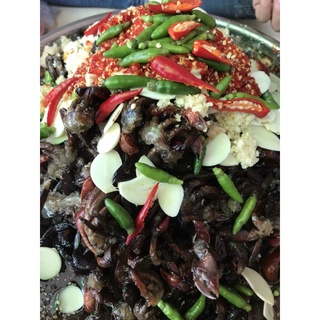 Ba khía sữa trộn sẵn