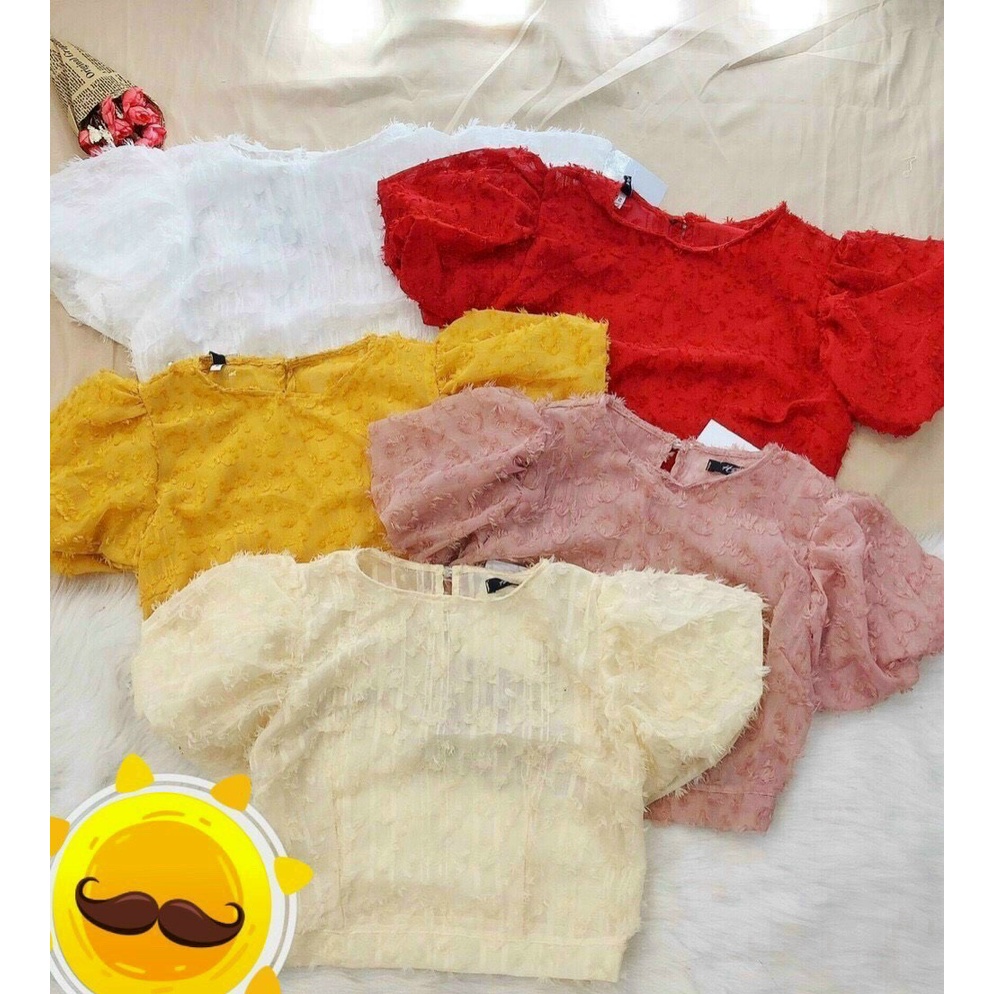 Áo kiểu nữ voan lông tay bồng croptop LL